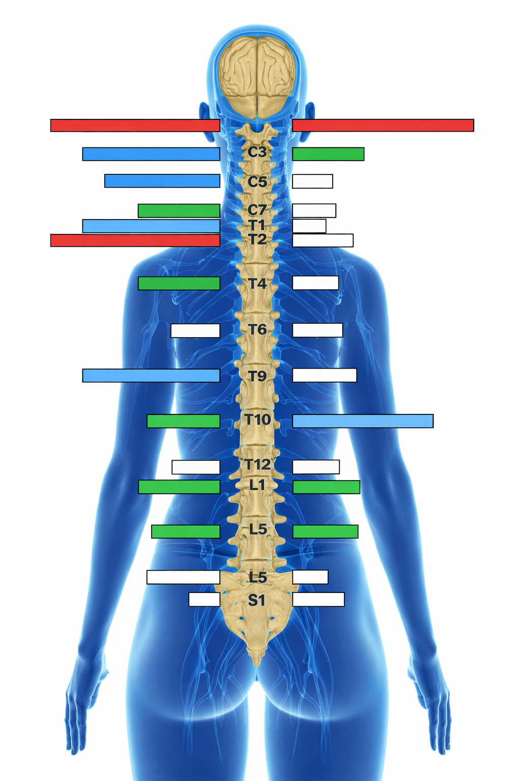 Surface EMG scan for a child at Fika Chiropractic