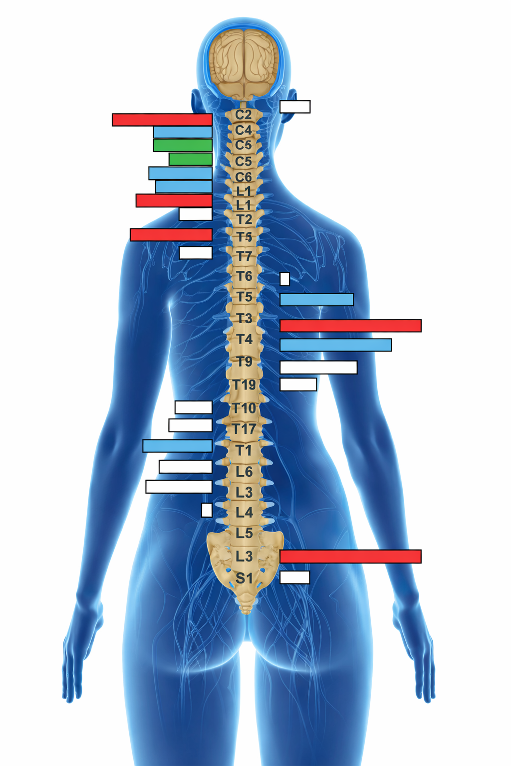 Thermal nervous system scan at Fika Chiropractic Oakland